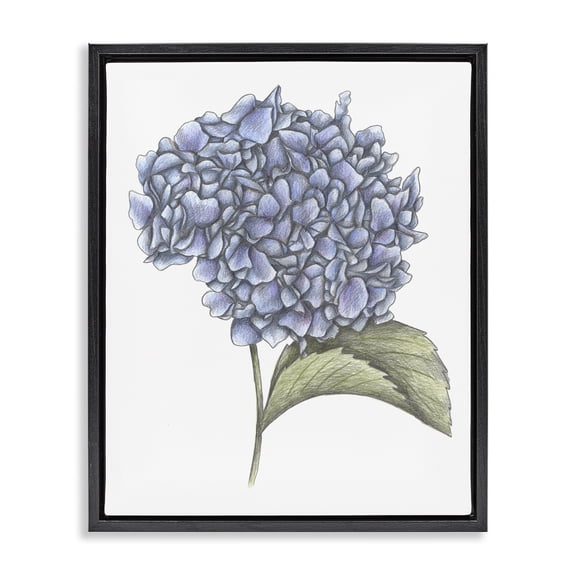 Hydrangea Sketch Blossom Black Framed Floater Canvas Wall Art, design by Cecilia Battaini