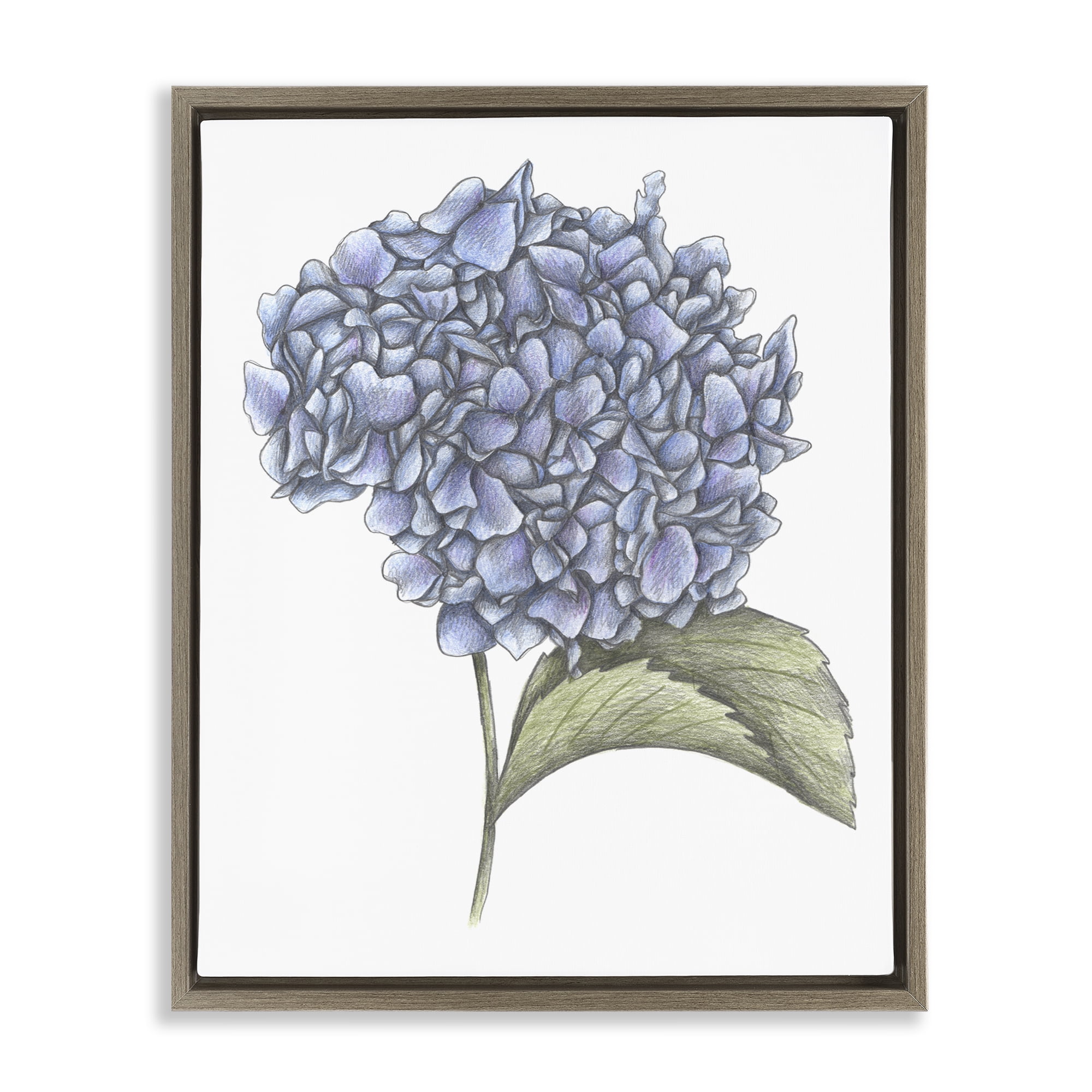 Hydrangea Sketch Blossom Brown Framed Floater Canvas Wall Art, design by Cecilia Battaini