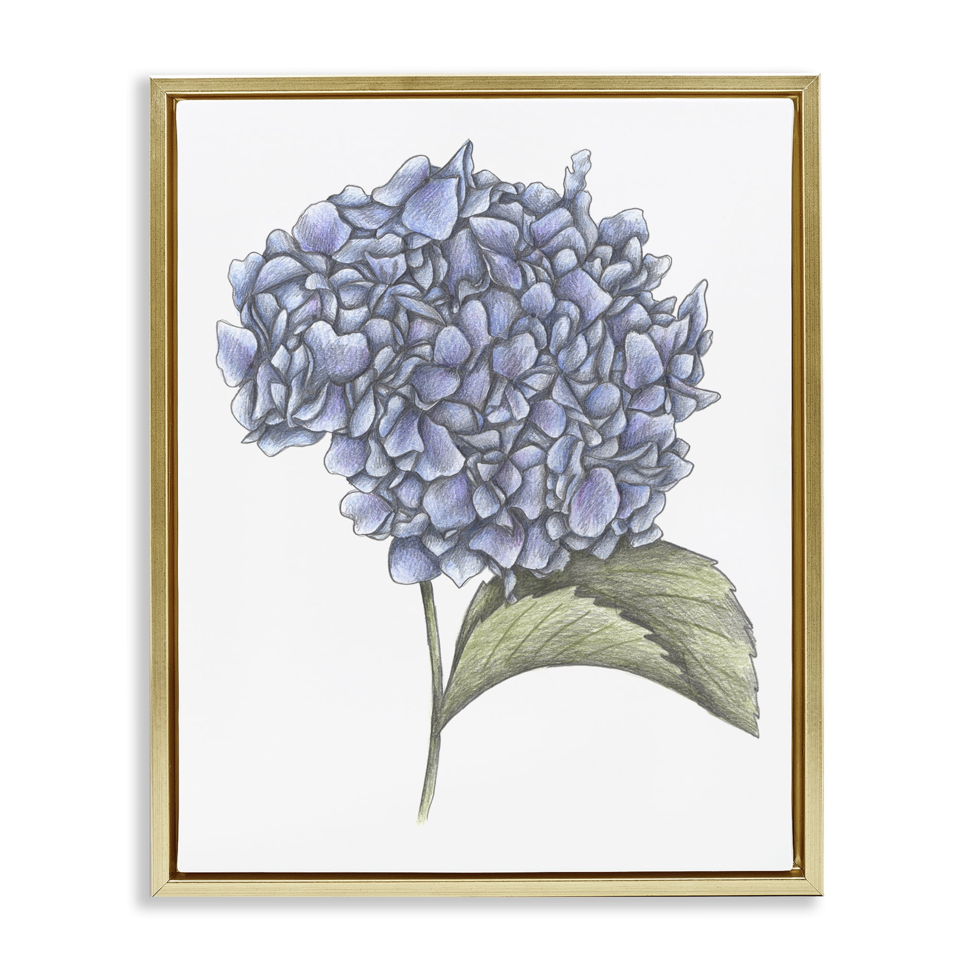 Hydrangea Sketch Blossom Gold Framed Floater Canvas Wall Art, design by Cecilia Battaini