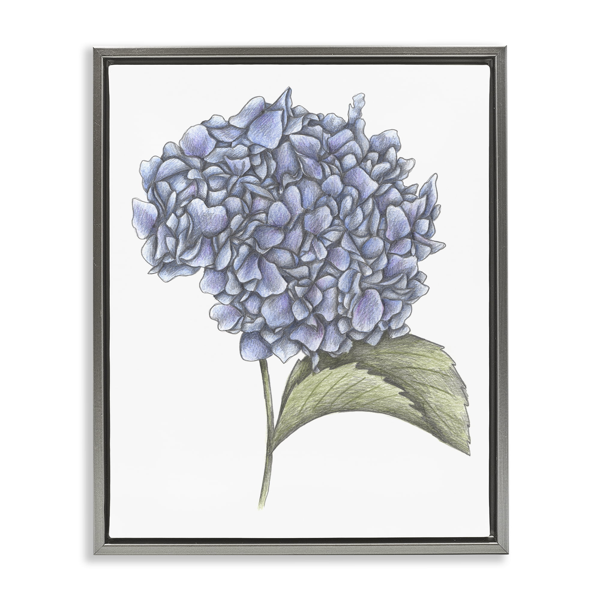 Hydrangea Sketch Blossom Gray Framed Floater Canvas Wall Art, design by Cecilia Battaini