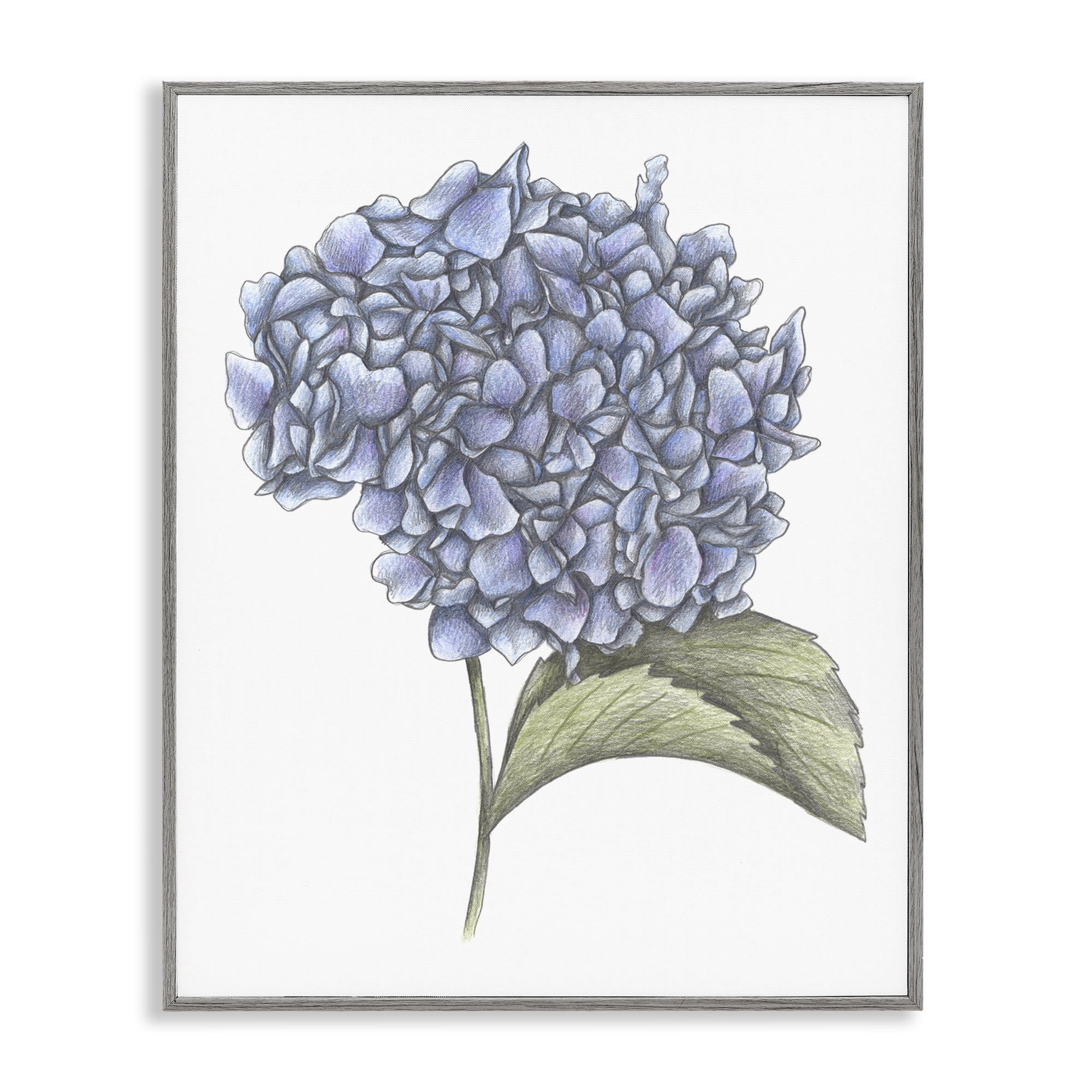 Hydrangea Sketch Blossom Gray Framed Giclee Art, design by Cecilia Battaini