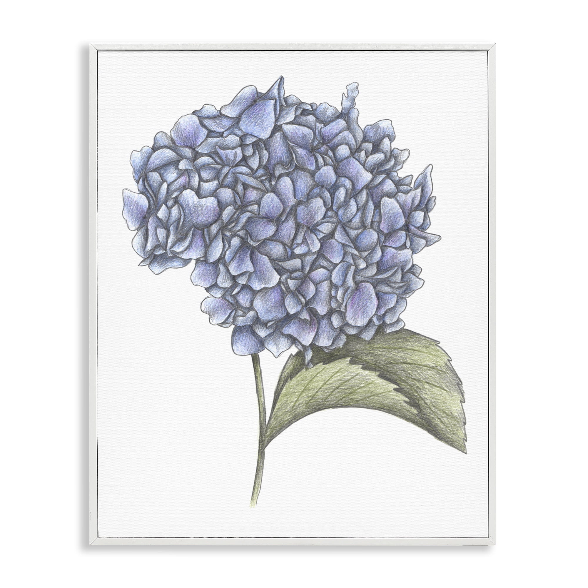 Hydrangea Sketch Blossom White Framed Giclee Art, design by Cecilia Battaini