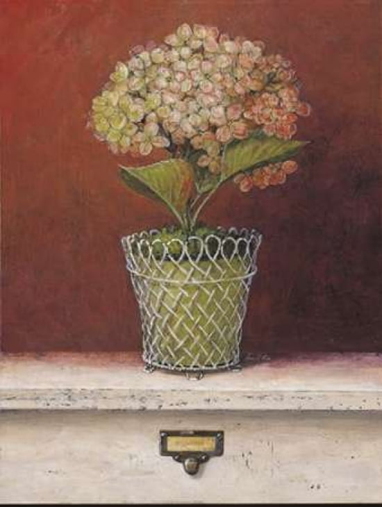 Hydrangea Study Canvas Art - Arnie Fisk (22 x 28)