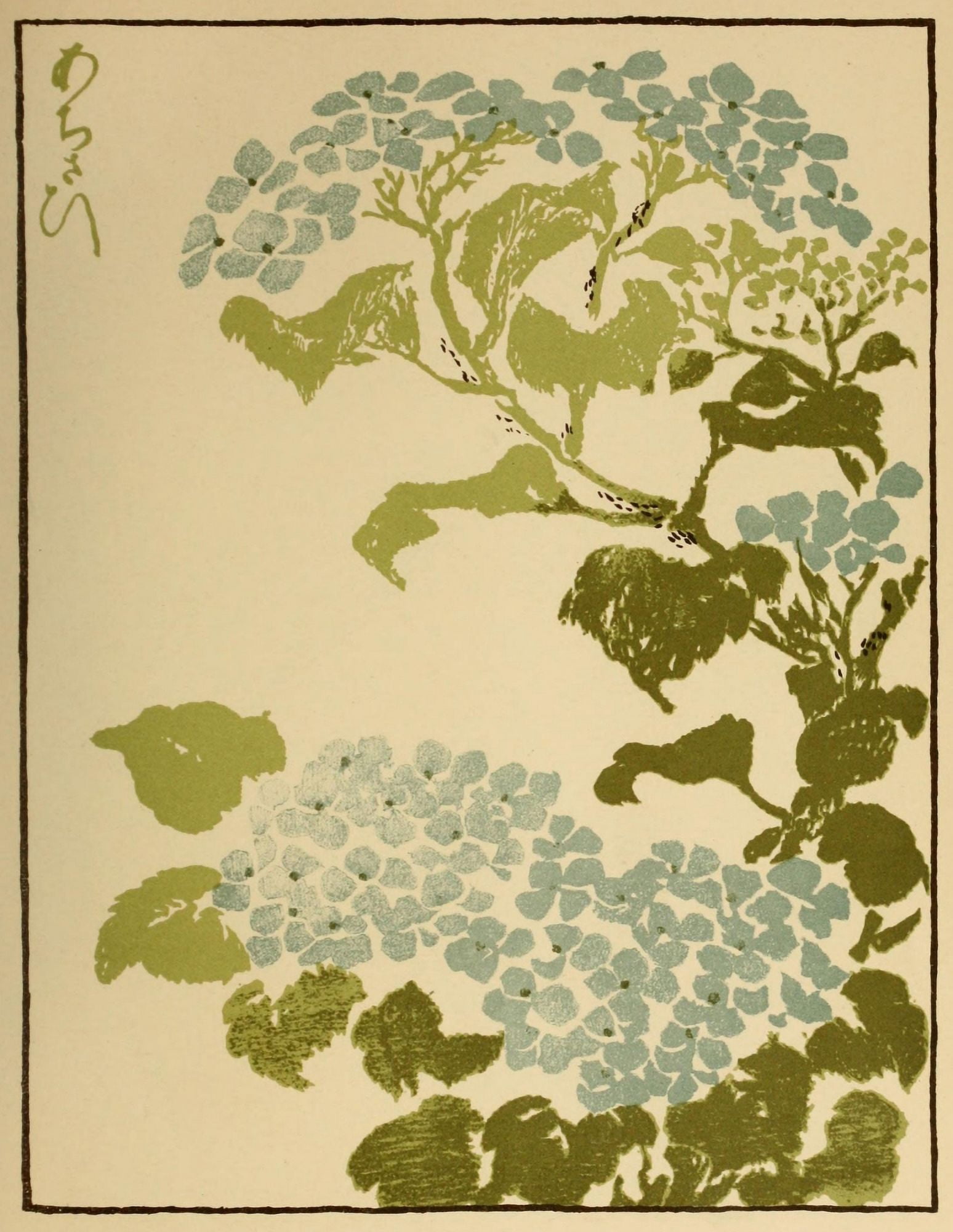 Hydrangea The Studio 1904 Canvas Art - Keisai Eisen (24 x 36)