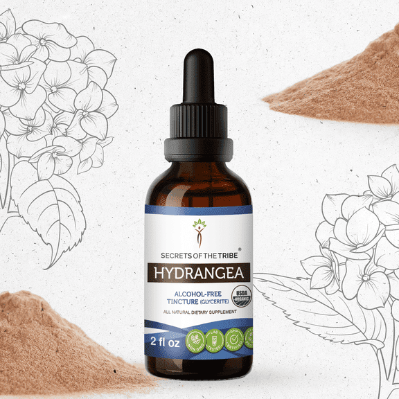 Secrets Of The Tribe Hydrangea Organic Dietary Supplement, Natural Herbal Tincture for Urinary Support, Certified Organic Hydrangea (Hydrangea arborescens) Dried Root, Alcohol-Free Extract Drops 2 oz