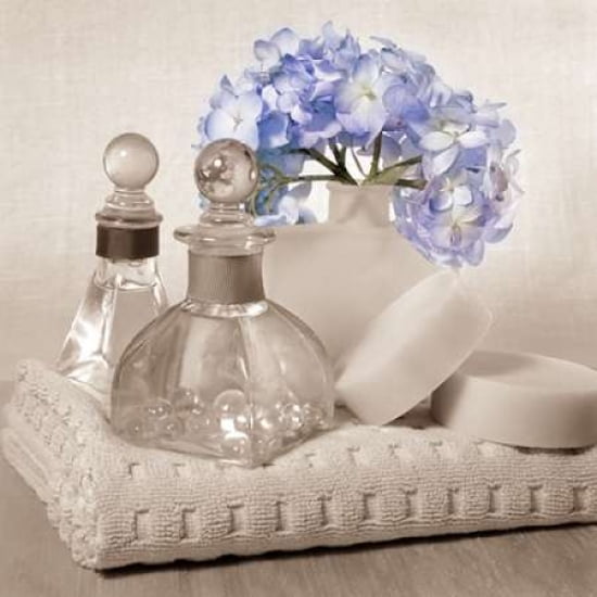 Hydrangea and Towel Canvas Art - Julie Greenwood (24 x 24)