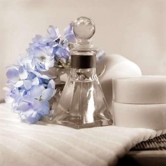 Hydrangea and Tray Canvas Art - Cristin Atria (24 x 24)