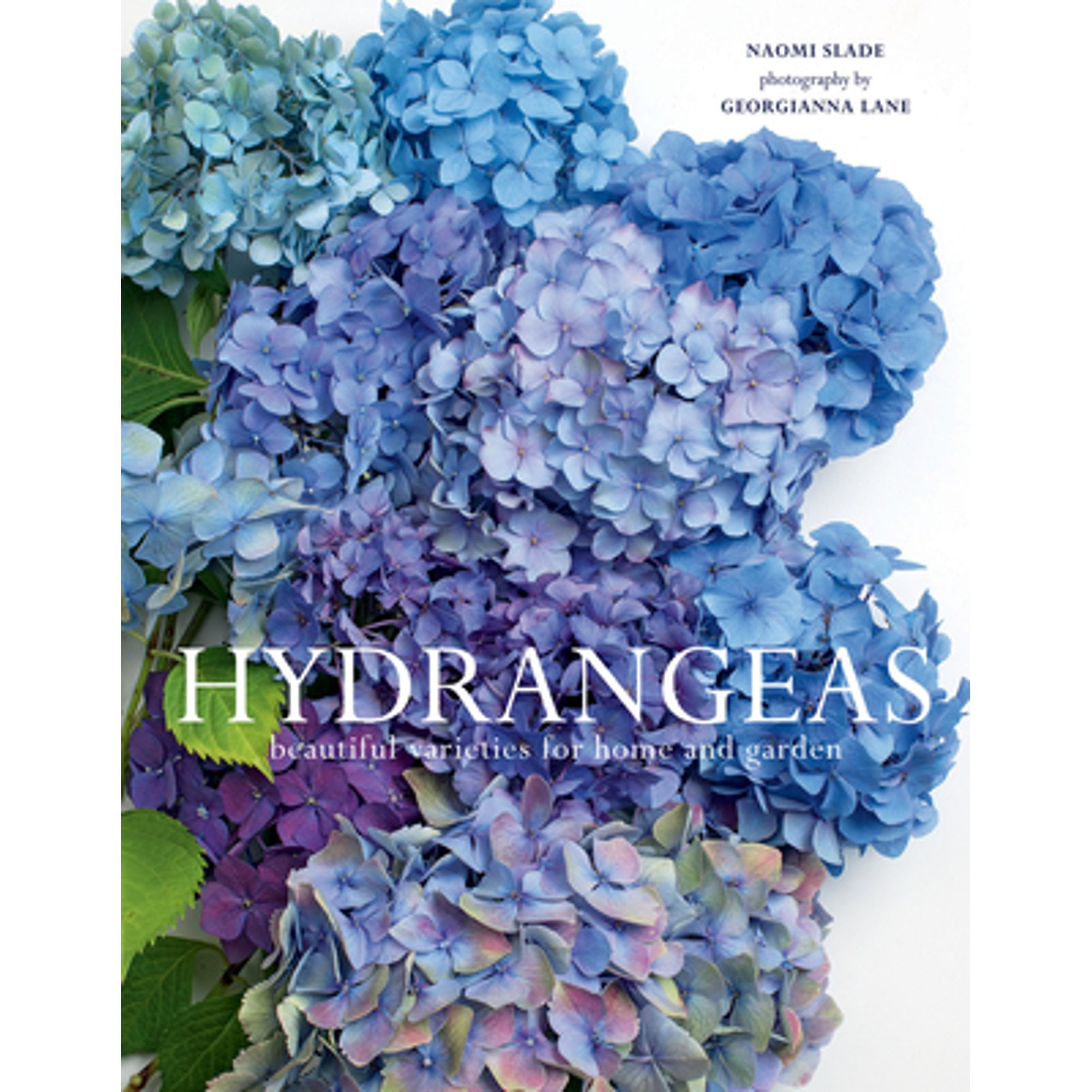 Pre-Owned Hydrangeas: Beautiful Varieties for Home and Garden (Hardcover) by Naomi Slade, Georgianna Lane