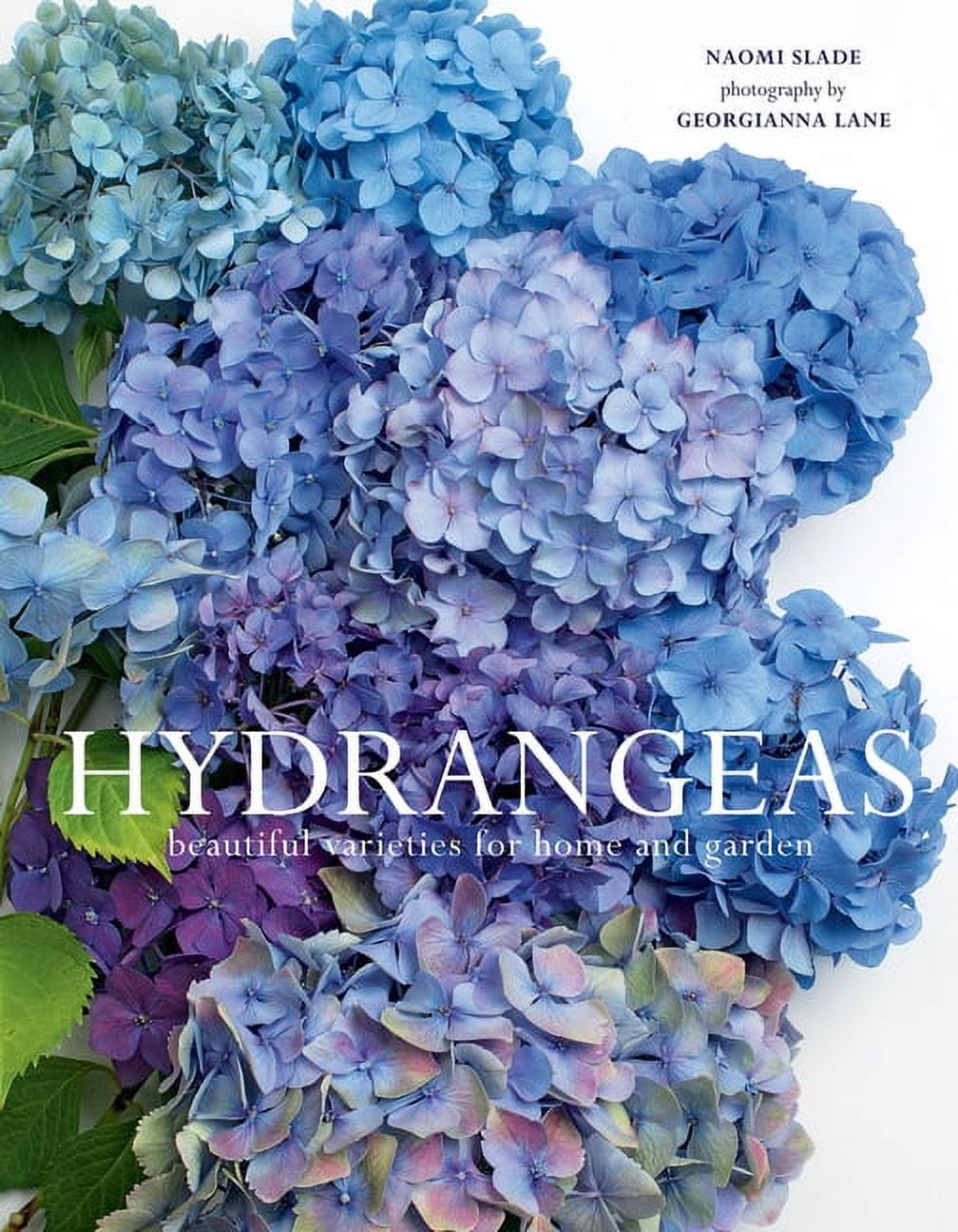 NAOMI SLADE; GEORGIANNA LANE Flowers Hydrangeas: Beautiful Varieties for Home and Garden, (Hardcover)