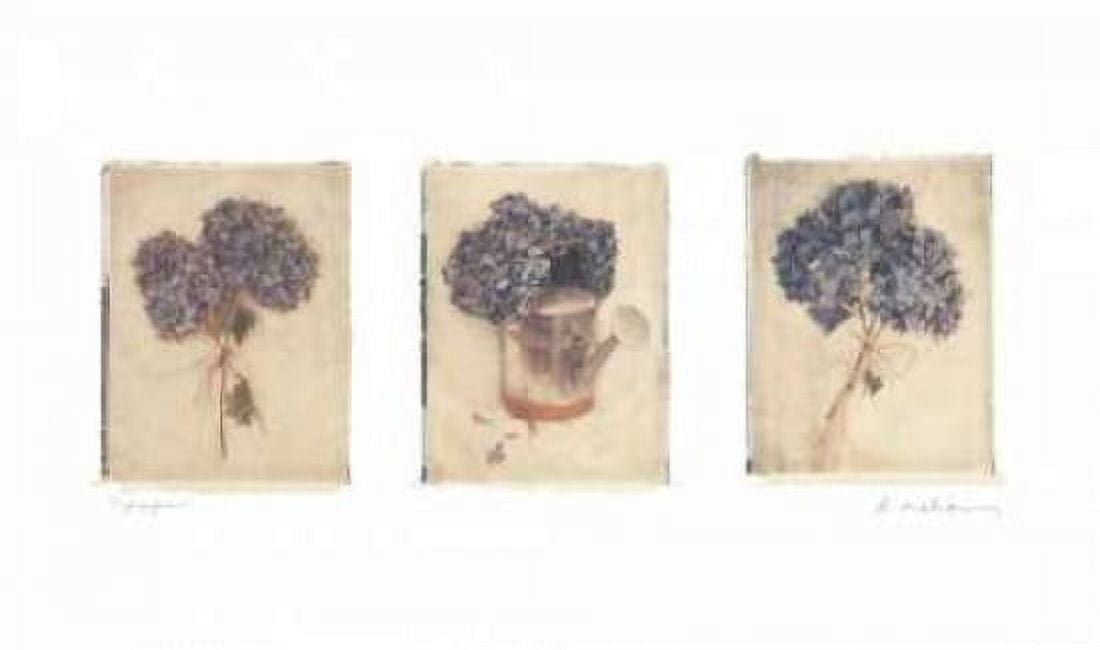 Hydrangeas Canvas Art - Amy Melious (12 x 18)