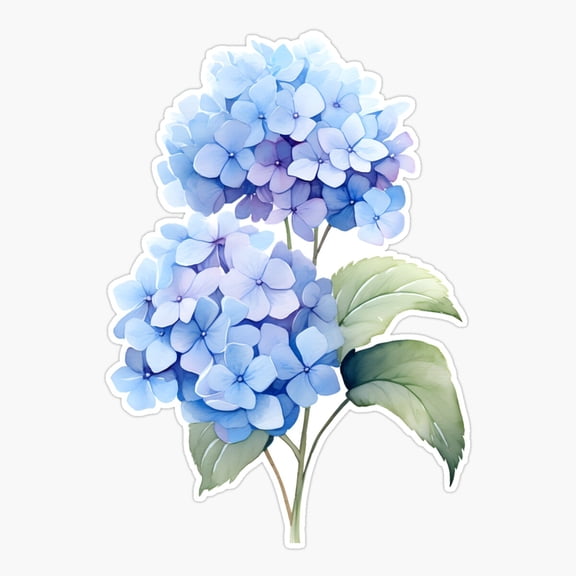 Hydrangeas Floral Art Vinyl Decal Sticker