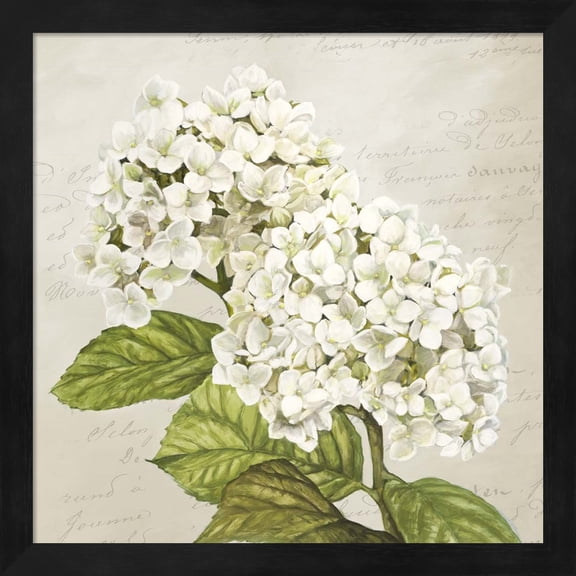 Hydrangeas III (Neutre) by Remy Dellal, Framed Wall Art, 13.25W x 13.25H