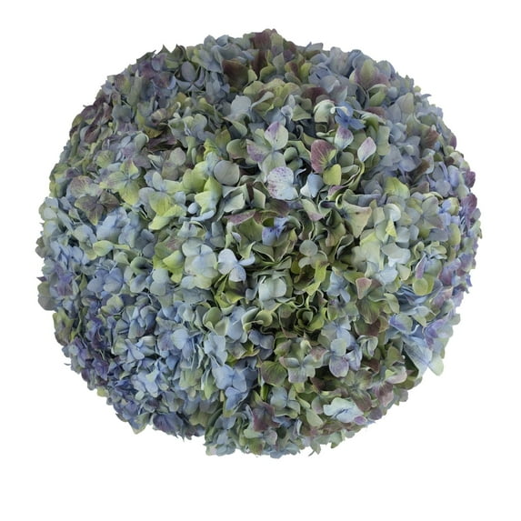 Hydrangeas Jumbo 12 Stems of Green and Hulk Farm Direct Fresh Cut Flowers by Bloomingmore