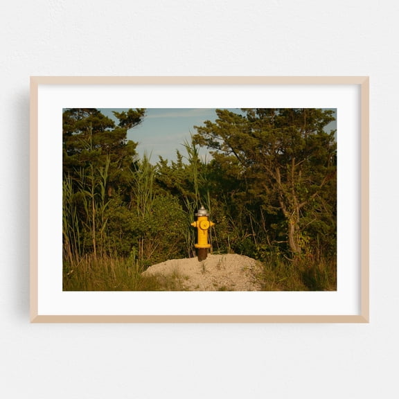 Hydrant, Fire Island - Fire Island New York Photography Oak Framed Wall Art Print 16 x 24 inches