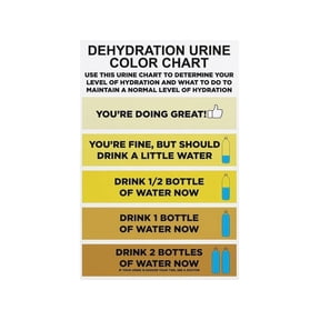 Hydration Chart Poster Daily Water Intake Color Scale Reference Guide Wellness Motivation Wall Art Print for Home Gym Kitchen Bathroom Decor
