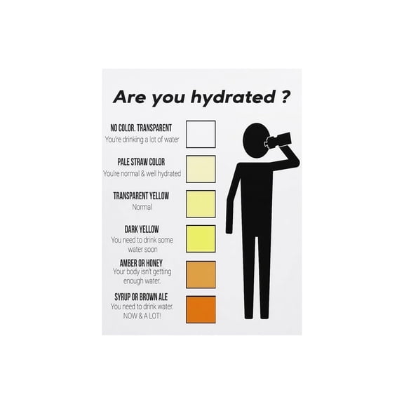 Hydration Level Guide and Urine Color Chart Metal Sign Wellness Wall Art for Bathroom Office 8 X 12 in
