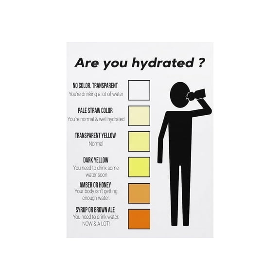Hydration Test Urine Color Health Chart Poster Water Intake Guide Dehydration Monitor Canvas Wall Art For Home Office Bathroom Decor