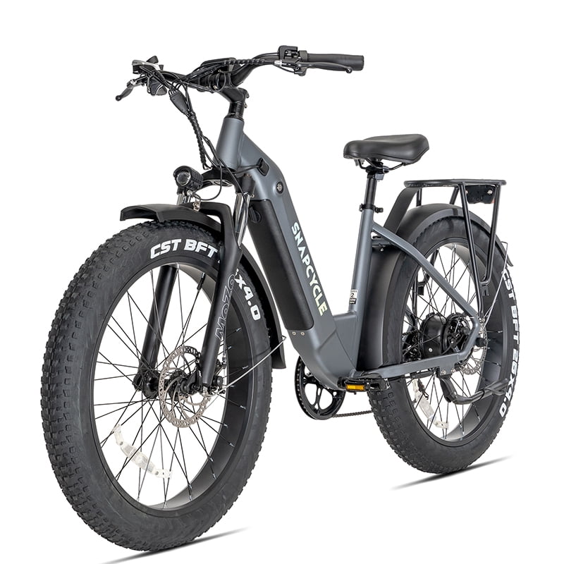 Hydraulic Brake Commuter E-Bike,R1 Step Electric Bike for Adults with 48V 14Ah Samsung Removable Battery,1000W Peak Motor 28MPH, 26''* 4'' Fat Tire Step-Thru Ebikes for Adults, 7-Speed UL