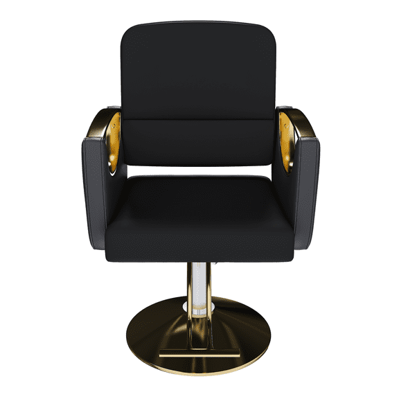 Hydraulic Salon Chair 360° Swivel Barber Stylist Chair with Pump Non-Tilting for Hair Salons Tattoo Beauty Spa Black Gold Single Pack