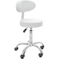 Hydraulic Stool with Backrest, Hardwood Safe, White