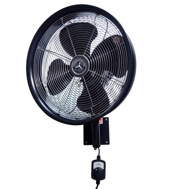 Backup Fan