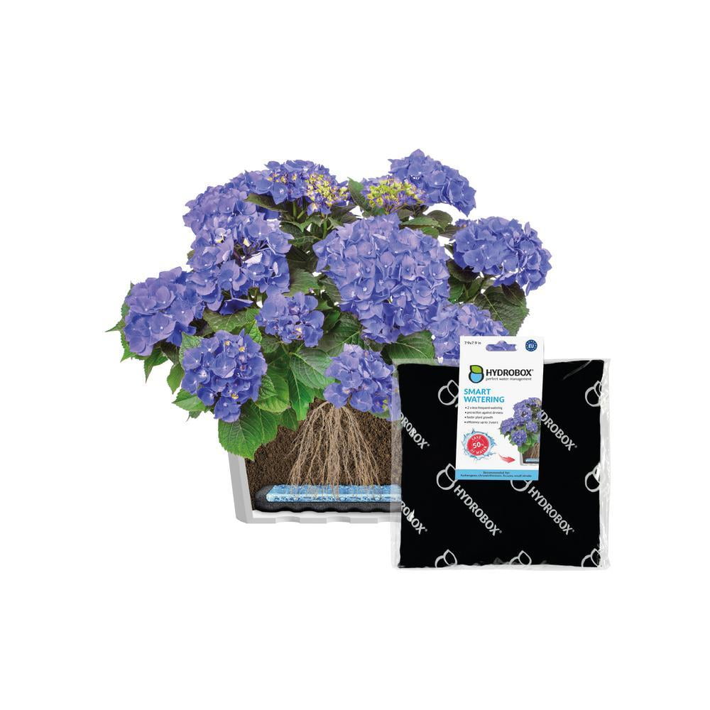 Hydrobox - 7.9 In. Smart Plant Watering, HDPE, PES - Walmart.com