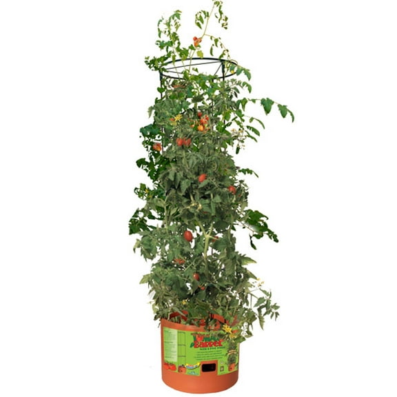 Hydrofarm GCTB Tomato Barrel Pot Garden Planting 4 Foot Trellis System (2 Pack)
