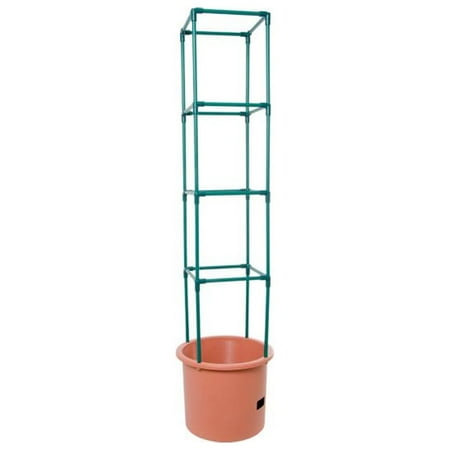 Tomato Barrel With Tower