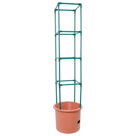 Tomato Barrel With Tower