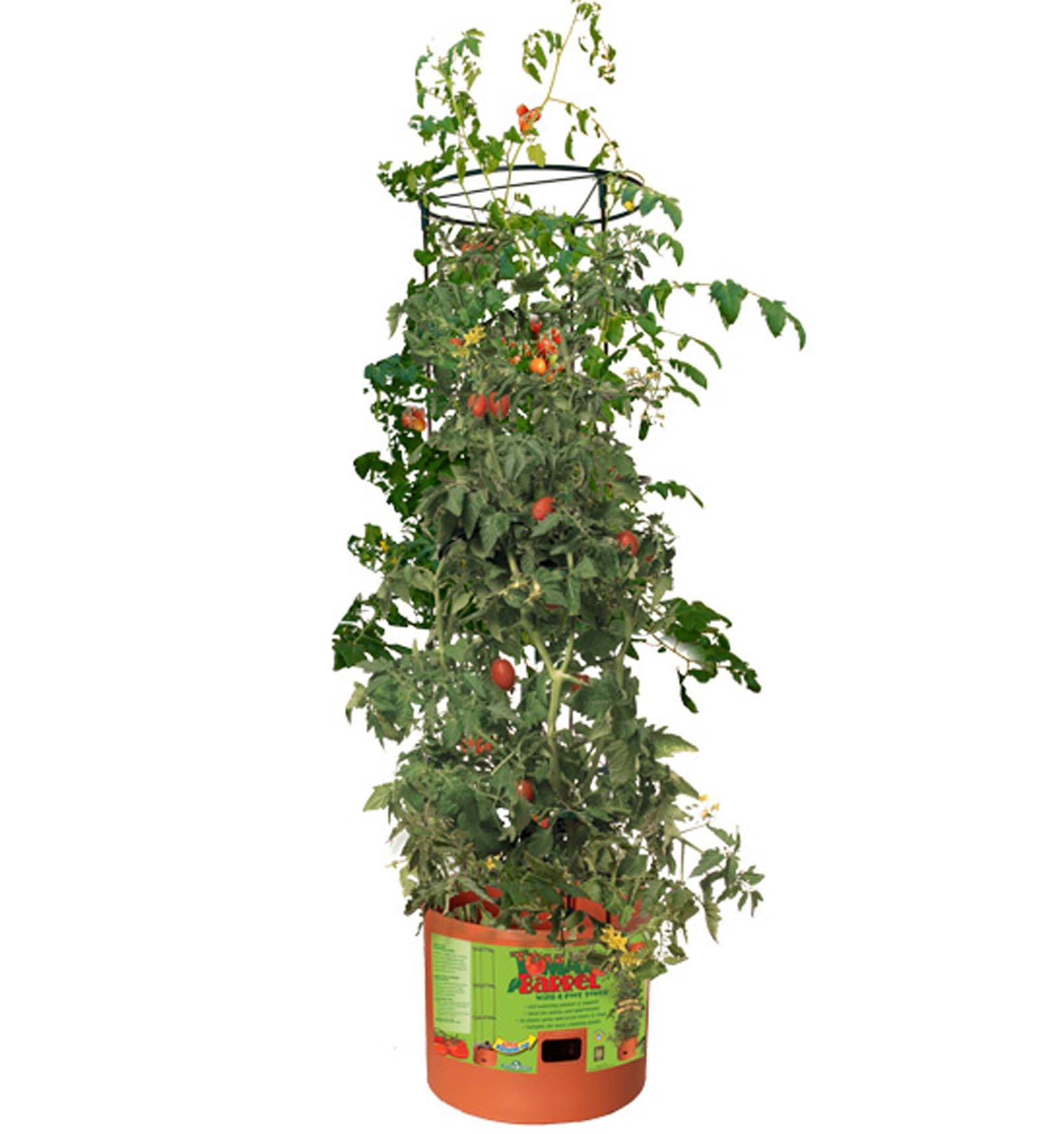 Hydrofarm Tomato Barrel Pot Garden Planting System with 4 Foot Trellis Tower
