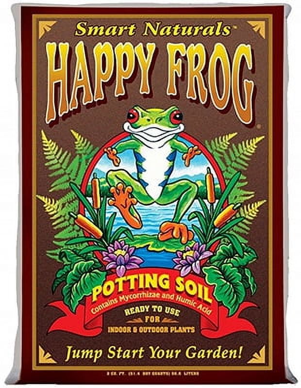 Amazon.com: Alpine Corporation ZEN390SLR-L Frog on Mushroom