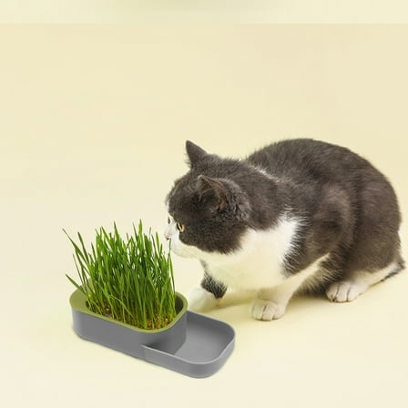 Hydroponic Cat Grass Grower Kit - Soil-Free Wheatgrass Planter with Detachable Tray for Indoor Cats' Digestive Health​(Dark Gray)