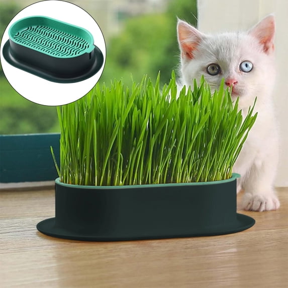 Hydroponic Cat Grass Growing Kit, Indoor Pet Wheatgrass Planter Box, Soilless Seed Sprout Tray, Healthy Digestive Cat Snack Cultivation Container, Natural Hairball Relief Pet Accessory,Z1#A