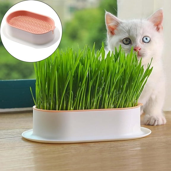 Hydroponic Cat Grass Growing Kit with Germination Tray - Indoor Gardening System for Pets,Soil-Free Planter Without Seeds(Pink-white)