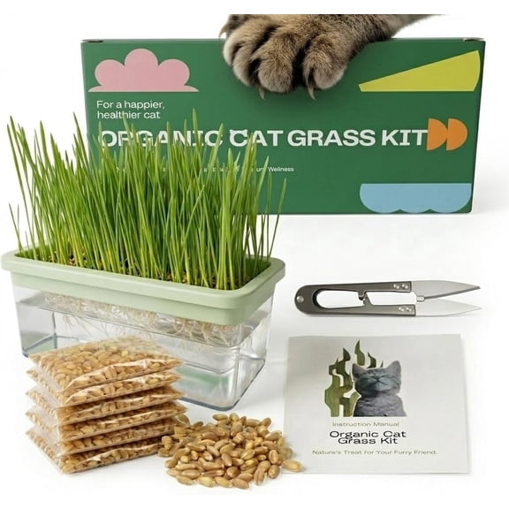 Hydroponic Cat Grass Kit with 6 Pack Non GMO Seeds & Scissors - Cat Grass for Indoor Cats, Helps Cat with Hairballs & Digestion, Easy 3-Step Setup (Food-Safe PP&AS, Plant 3-6 Times)
