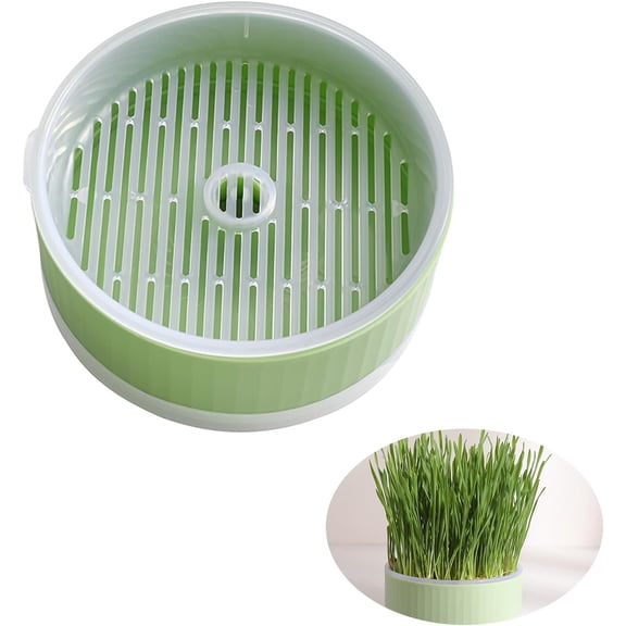 Hydroponic Cat Grass Planter Kit for Indoor Cats - Easy to Grow (No Seeds Included) (Green)
