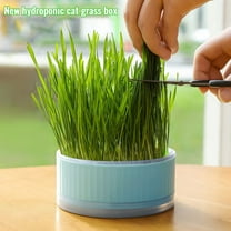Hydroponic Grass Planter Soilless Indoor Growing Kit for Herbs Microgreens Wheatgrass Sprouts