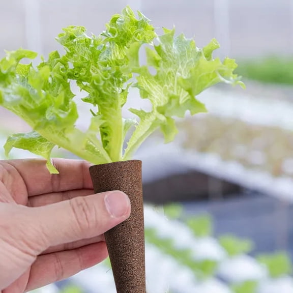 Hydroponic Grow Sponges, 50 Pack Replacement Seed Pods, Peat Rooting Blocks for Indoor Garden System and Germination
