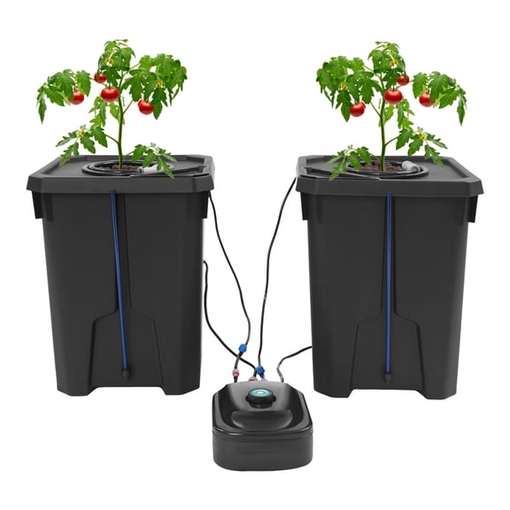Hydroponic Growing Bucket Kit, Recirculating Hydroponics Growing System Drip Garden System with 2 Hydroponics Growing Buckets & Air Pump, Deep Water Culture Drip Irrigation Garden System