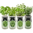 Hydroponic Mason Jar Indoor Garden Organic Seed Starter Kits Italian