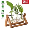 thumbnail image 1 of Hydroponic Plant Vases Flower Pot Glass Vase W/ Wooden Frame Tabletop Home Decor, 1 of 6