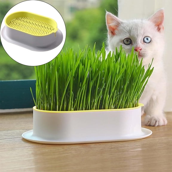 Hydroponic Planter,Cat Grass Planter(No Seeds Included),Tri-Section Design,Anti-Pull Out Cat Grass Seed Starter Tray,Sprouts Growing Kit,Microgreens Growing Trays(Yellow-white)
