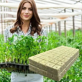 Hydroponic Rockwool Grow Cubes for Starting and Cloning Soilless Vegetable Propagation Wool Plug Blocks Rockwool Starter Plugs,100pc