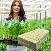 Hydroponic Rockwool Grow Cubes for Starting and Cloning Soilless Vegetable Propagation Wool Plug Blocks Rockwool Starter Plugs,100pc
