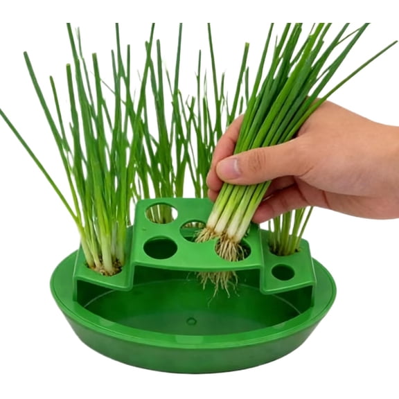Hydroponic Scallion & Onion Growing Pot, Indoor Kitchen Planter for Windowsill, Counter & Balcony(RL Green 1 PC)
