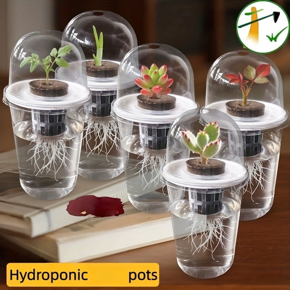 Hydroponic Seed Pot, 5 Components Growing Kit, Transparent Cylindrical Plant Container for Indoor Home Garden Cultivation and Root Growth Observation Landscape Supplies