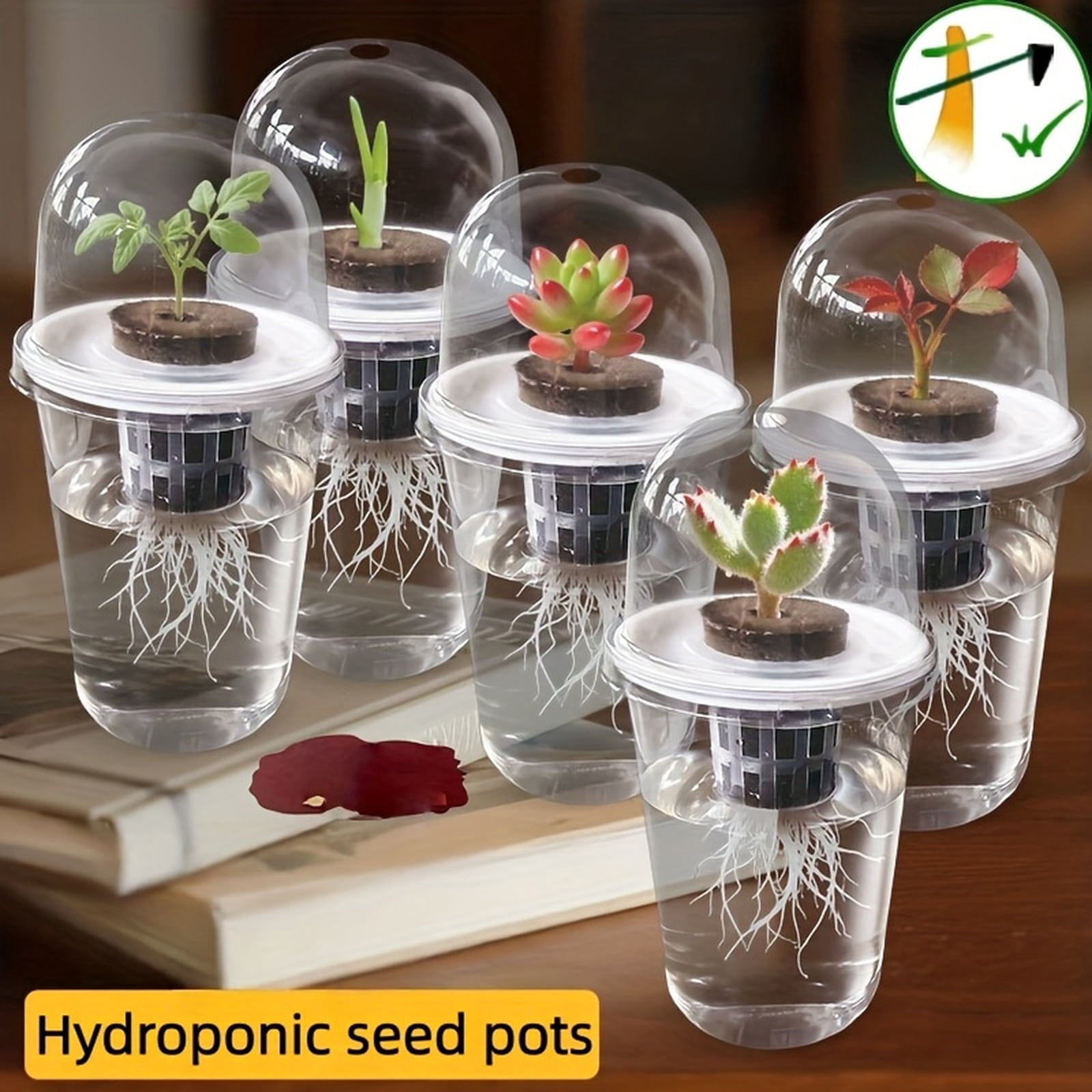 Hydroponic Seed Starter Pot Set 5-in-1, Clear Plastic Cylindrical Indoor Planter, Soil-less Growing Kit for Herbs and Small Vegetables, 1 Set E039
