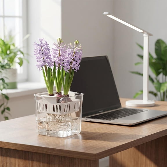 Hydroponic Tulip Bulb Planter, 3.9x3.9x3.9 Inch Self Watering Vase, Clear Glass for Root Growth, 4 Cell for Bulb Forcing