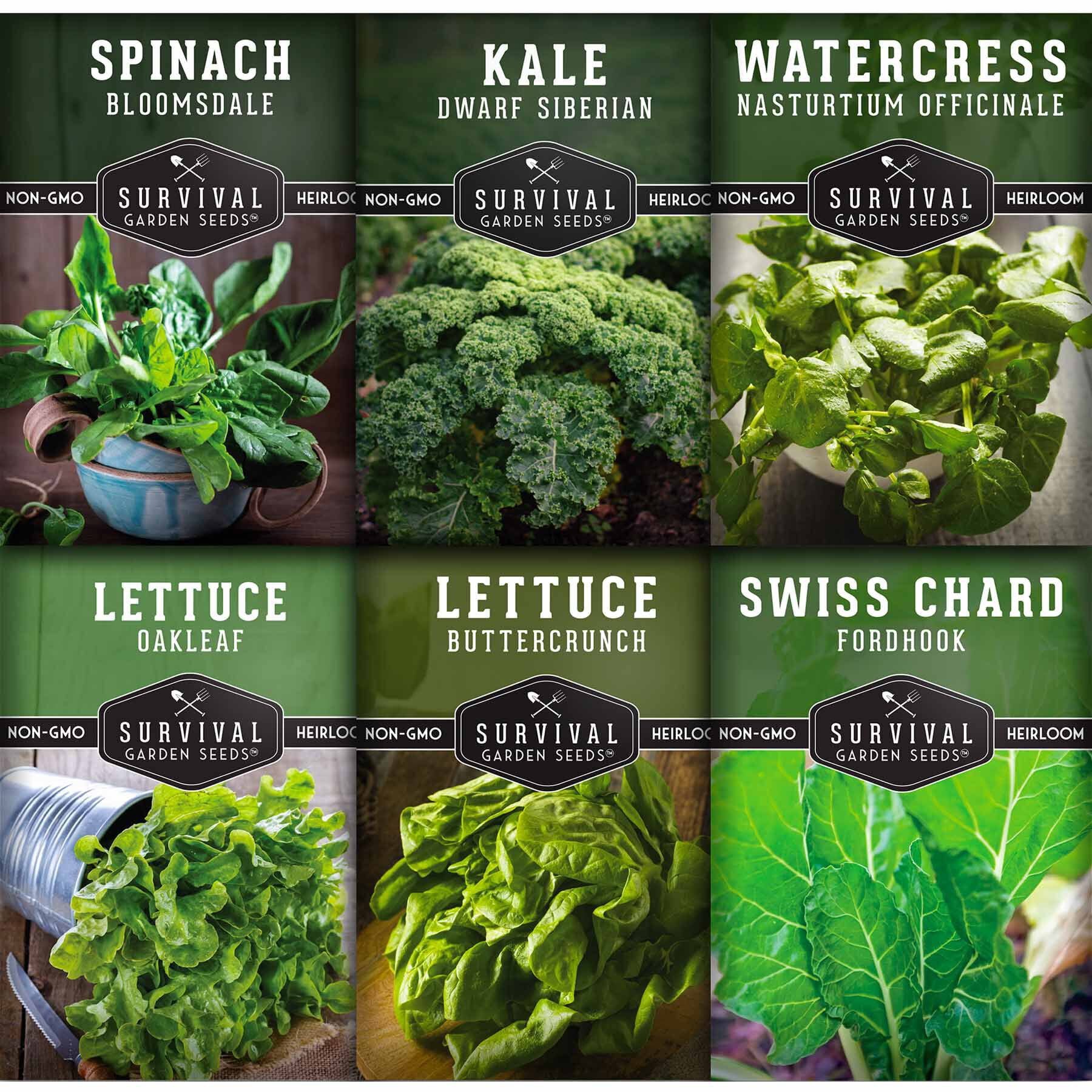 Hydroponic Vegetable Seed 6 Packs Spinach, Kale, Watercress, Oakleaf