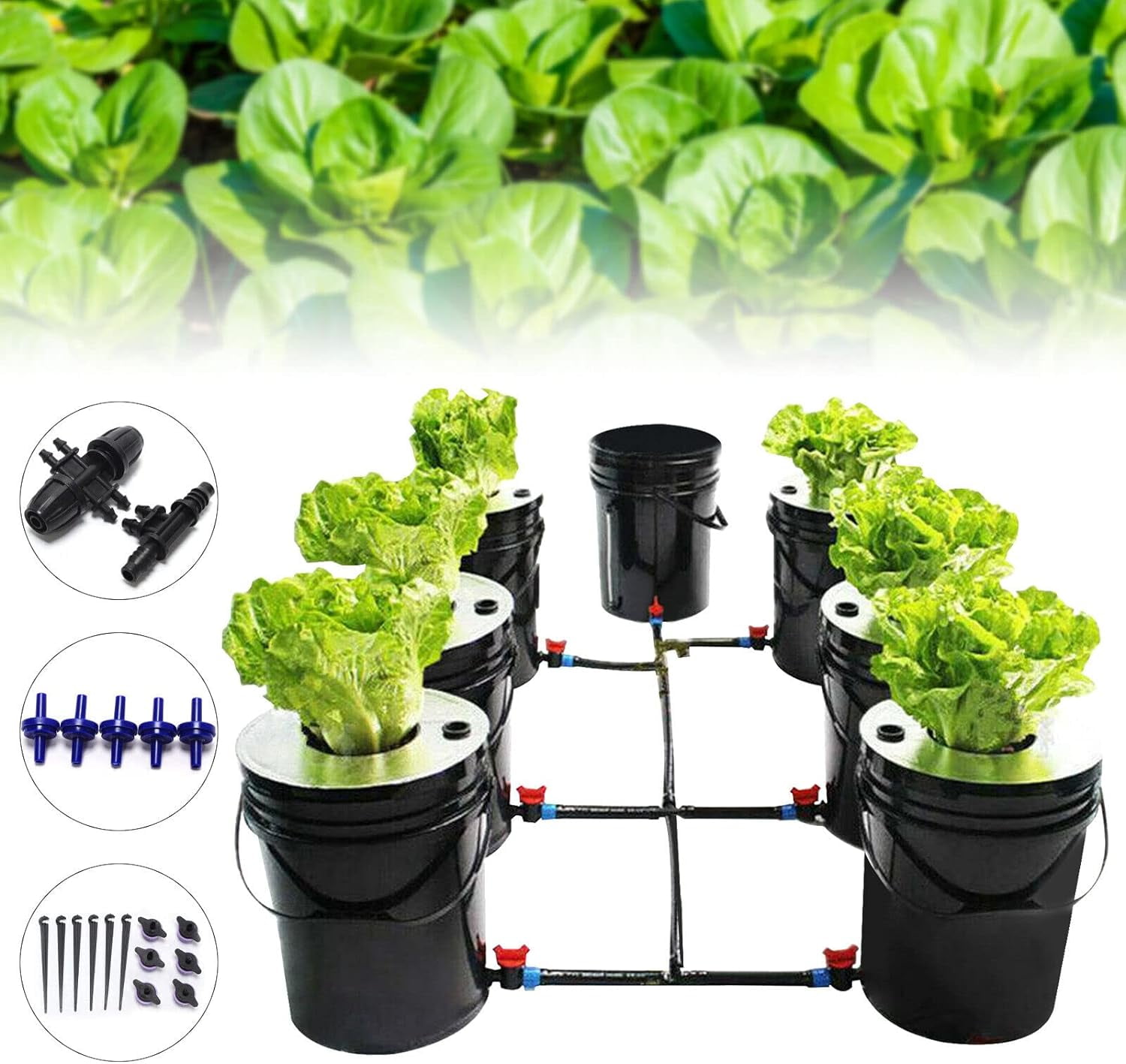 Hydroponics Grow System, 5Gallon 7Bucket DWC System Recirculating Deep Water Culture